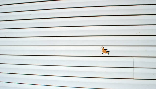 Best Stone Veneer Siding  in Lincoln Village, OH